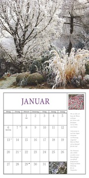 Freude im Garten 2025 - Broschürenkalender mit informativen und poetischen Gartentexten Format 30 x 30 cm - Abbildung 1
