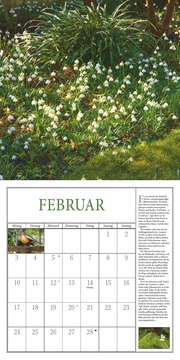 Freude im Garten 2025 - Broschürenkalender mit informativen und poetischen Gartentexten Format 30 x 30 cm - Abbildung 2