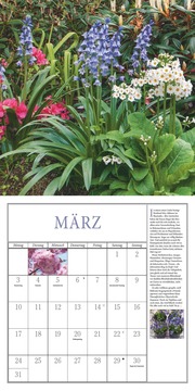 Freude im Garten 2025 - Broschürenkalender mit informativen und poetischen Gartentexten Format 30 x 30 cm - Abbildung 3