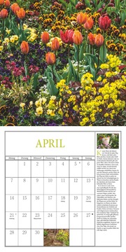 Freude im Garten 2025 - Broschürenkalender mit informativen und poetischen Gartentexten Format 30 x 30 cm - Abbildung 4
