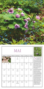 Freude im Garten 2025 - Broschürenkalender mit informativen und poetischen Gartentexten Format 30 x 30 cm - Abbildung 5