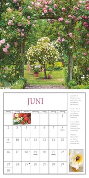 Freude im Garten 2025 - Broschürenkalender mit informativen und poetischen Gartentexten Format 30 x 30 cm - Abbildung 6