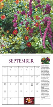 Freude im Garten 2025 - Broschürenkalender mit informativen und poetischen Gartentexten Format 30 x 30 cm - Abbildung 9