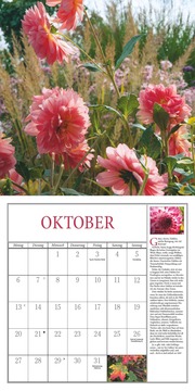 Freude im Garten 2025 - Broschürenkalender mit informativen und poetischen Gartentexten Format 30 x 30 cm - Abbildung 10