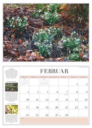 Garten-Kalender 2025 - Broschürenkalender - mit informativen Texten - mit Jahresplaner - Format 42 x 29 cm - Abbildung 2