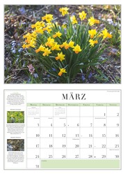 Garten-Kalender 2025 - Broschürenkalender - mit informativen Texten - mit Jahresplaner - Format 42 x 29 cm - Abbildung 3