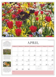 Garten-Kalender 2025 - Broschürenkalender - mit informativen Texten - mit Jahresplaner - Format 42 x 29 cm - Abbildung 4