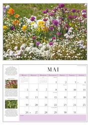 Garten-Kalender 2025 - Broschürenkalender - mit informativen Texten - mit Jahresplaner - Format 42 x 29 cm - Abbildung 5