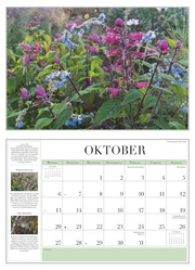 Garten-Kalender 2025 - Broschürenkalender - mit informativen Texten - mit Jahresplaner - Format 42 x 29 cm - Abbildung 10