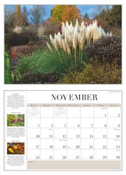 Garten-Kalender 2025 - Broschürenkalender - mit informativen Texten - mit Jahresplaner - Format 42 x 29 cm - Abbildung 11