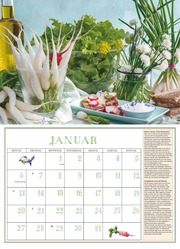 DUMONTS Aromatische Kräuter 2025 - Broschürenkalender - Wandkalender - mit Rezepten und Texten - Format 42 x 29 cm - Illustrationen 1