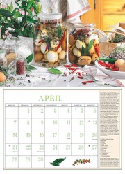 DUMONTS Aromatische Kräuter 2025 - Broschürenkalender - Wandkalender - mit Rezepten und Texten - Format 42 x 29 cm - Illustrationen 4