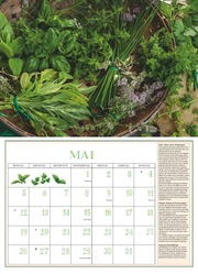 DUMONTS Aromatische Kräuter 2025 - Broschürenkalender - Wandkalender - mit Rezepten und Texten - Format 42 x 29 cm - Illustrationen 5