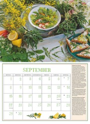 DUMONTS Aromatische Kräuter 2025 - Broschürenkalender - Wandkalender - mit Rezepten und Texten - Format 42 x 29 cm - Illustrationen 9