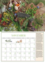 DUMONTS Aromatische Kräuter 2025 - Broschürenkalender - Wandkalender - mit Rezepten und Texten - Format 42 x 29 cm - Illustrationen 11