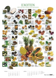 Food 2025 - Bildkalender 50x70 cm - mit kurzen Beschreibungen zu den Obst- und Gemüsesorten - Küchenkalender - Dumont - Posterkalender - Illustrationen 2