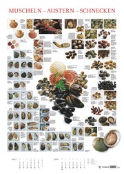 Food 2025 - Bildkalender 50x70 cm - mit kurzen Beschreibungen zu den Obst- und Gemüsesorten - Küchenkalender - Dumont - Posterkalender - Illustrationen 3