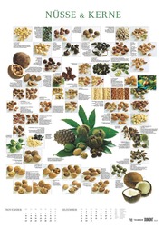 Food 2025 - Bildkalender 50x70 cm - mit kurzen Beschreibungen zu den Obst- und Gemüsesorten - Küchenkalender - Dumont - Posterkalender - Illustrationen 6