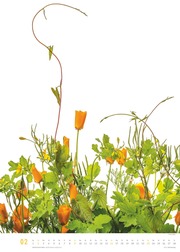 Flora 2025 - Blumen-Kalender von DUMONT - Poster-Format 50 x 70 cm - Abbildung 2