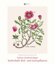 DuMonts Botanisches Kabinett 2025 - Zauberhafte Heil- und Gartenpflanzen - Illustriert von F.A. Happe - Kunstkalender - Wandkalender im Hochformat 34,5 x 40 cm