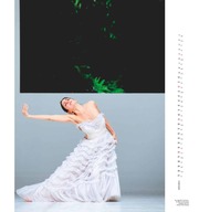 Pina Bausch und das Tanztheater Wuppertal 2025 - Ballett - Wandkalender 45 x 48 cm - Spiralbindung - Abbildung 10
