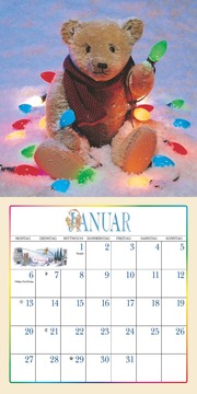 Der Teddybär 2025 - Broschürenkalender - Wandkalender - Format 30 x 30 cm - Abbildung 1