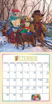 Der Teddybär 2025 - Broschürenkalender - Wandkalender - Format 30 x 30 cm - Abbildung 12