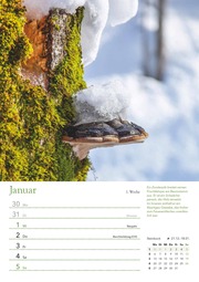 Ein Jahr in meinem Garten - Wochenkalender 2025 - Garten-Kalender mit 53 Blatt - Format 21,0 x 29,7 cm - Spiralbindung - Abbildung 1