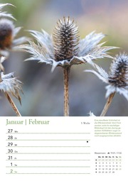 Ein Jahr in meinem Garten - Wochenkalender 2025 - Garten-Kalender mit 53 Blatt - Format 21,0 x 29,7 cm - Spiralbindung - Abbildung 9