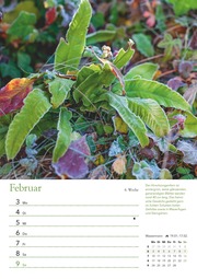Ein Jahr in meinem Garten - Wochenkalender 2025 - Garten-Kalender mit 53 Blatt - Format 21,0 x 29,7 cm - Spiralbindung - Abbildung 11