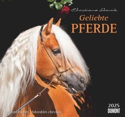 Geliebte Pferde 2025 - DUMONT-Wandkalender - Pferdefotografie von Christiane Slawik Format - 38,0 x 35,5 cm