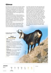 Ravensburger Tierkalender - Wochenkalender 2025 - Tier-Kalender mit 53 Blatt - Format 21,0 x 29,7 cm - Spiralbindung - Abbildung 2