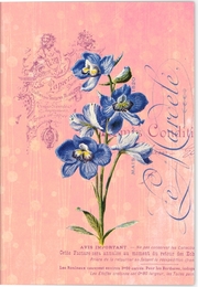 Gärten der Künstler Klappkarte Motiv Blaue Orchidee