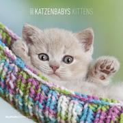 Katzenbabys 2022 - Cover
