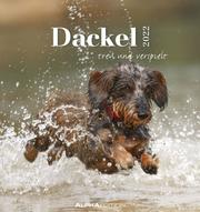 Dackel 2022 - Cover