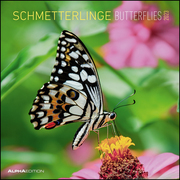Schmetterlinge 2023 - Cover