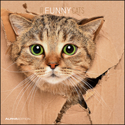 Bild von Funny Cats 2023 - Broschürenkalender 30x30 cm