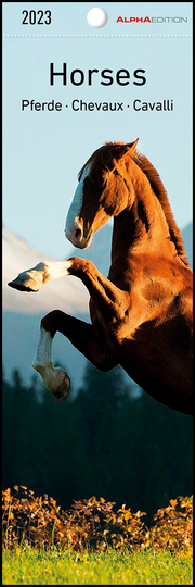Pferde 2023 - Lesezeichenkalender 5,5x16,5 cm - Horses - Tierkalender - Lesehilfe - Alpha Edition
