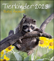Tierkinder 2023 - Cover