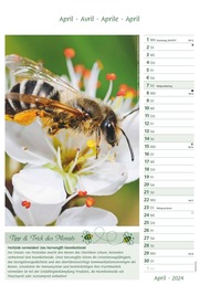 Bienen 2024 - Abbildung 4