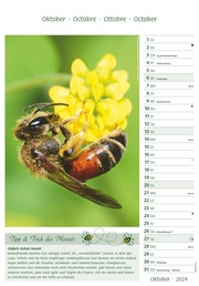 Bienen 2024 - Abbildung 10