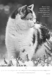 Der poetische Katzenkalender 2024 - Abbildung 1