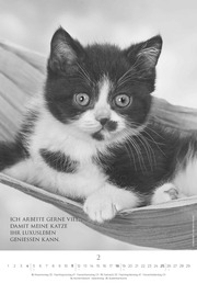 Der poetische Katzenkalender 2024 - Abbildung 2