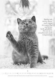 Der poetische Katzenkalender 2024 - Abbildung 3