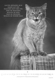 Der poetische Katzenkalender 2024 - Abbildung 4