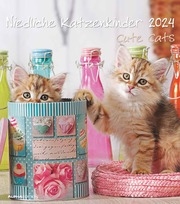 Niedliche Katzenkinder 2024 - Cover