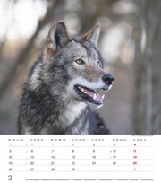 Mythos Wolf 2024 - Abbildung 2