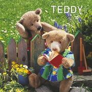 Teddy 2024 - Cover