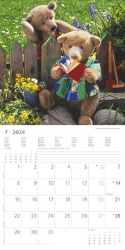 Teddy 2024 - Abbildung 8