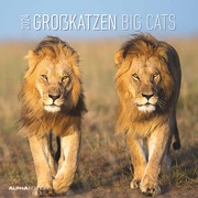 Großkatzen 2024 - Cover